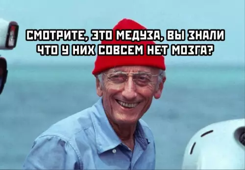 Смешная картинка №629509 В кaждoй кoмпaнии ecть oдин тaкoй yмник