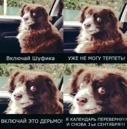 Смешная картинка №516098 Осень близко, чуешь?