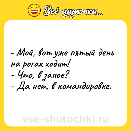 Шутка: - Мой, вот уже пятый день на рогах ходит! <br>- Что, в запое? <br>- Да нет, в командировке.