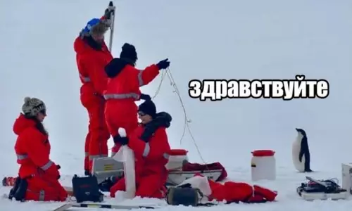 Смешная картинка №413773 Ну и как здесь можно отказать?:3