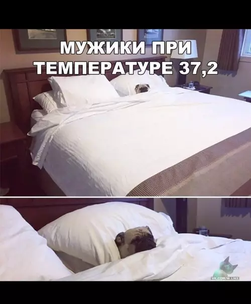 Смешная картинка №363099