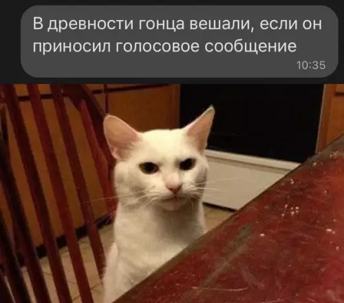 Смешная картинка №623222