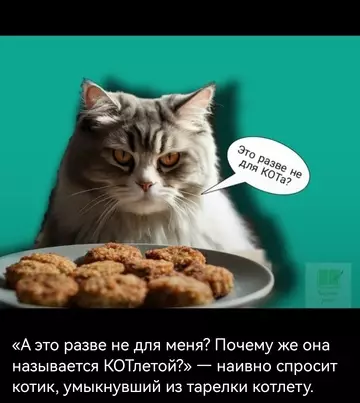 Смешная картинка №767171