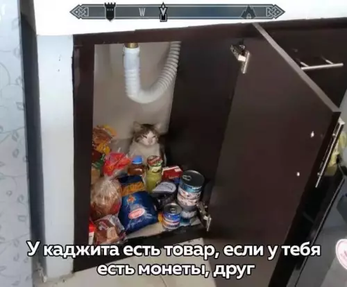Залетай к Каджиту за лучшим товаром! 🐈‍⬛💰 - У каджита есть товар, если у тебя есть монеты, друг