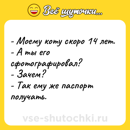 Шутка: - Моему коту скоро 14 лет.<br>- А ты его сфотографировал?<br>- Зачем?<br>- Так ему же паспорт получать.