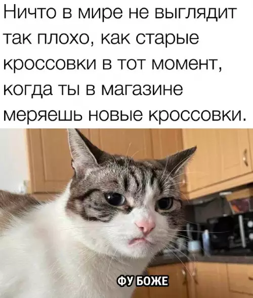 Смешная картинка №750141 Жиза