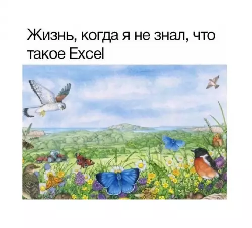 картинка
