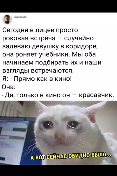 Смешная картинка №378566