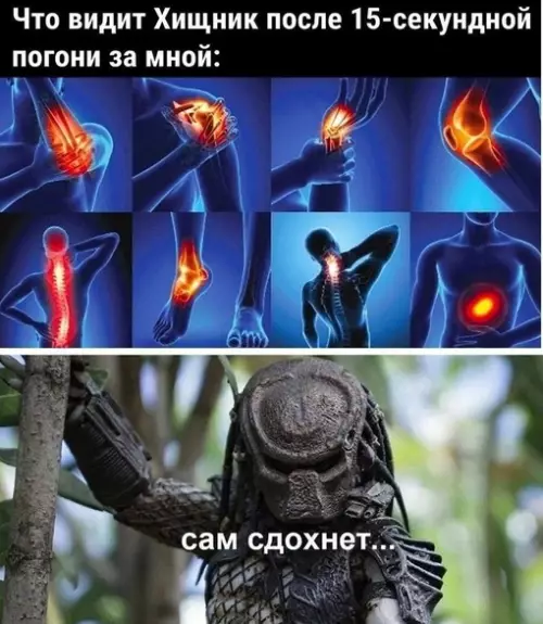 Смешная картинка №657257 хищник, здоровье