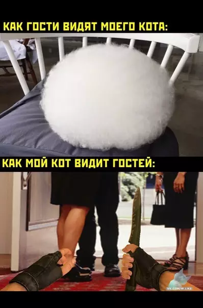 Смешная картинка №370781