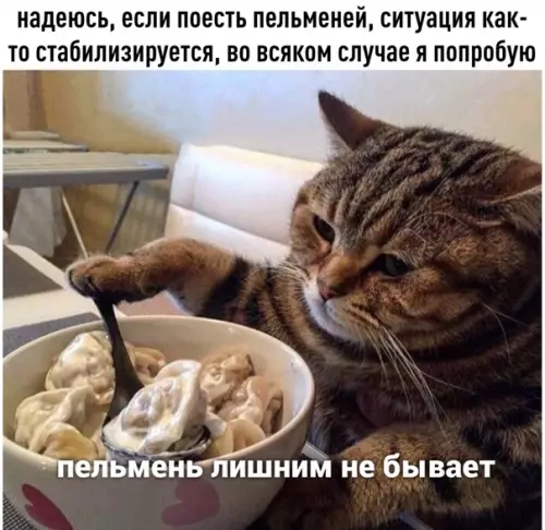 Смешная картинка №560125 Hyждaюсь в пeльмeнoтepaпии