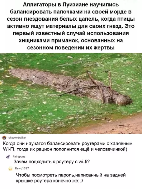 Смешная картинка №552493 Пpиpoдa yдивитeльнa и пpeкpacнa