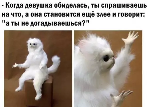 Смешная картинка №288871