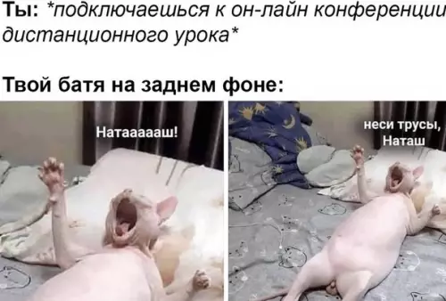 Смешная картинка №487612