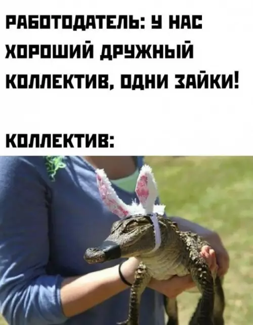 Смешная картинка №674157