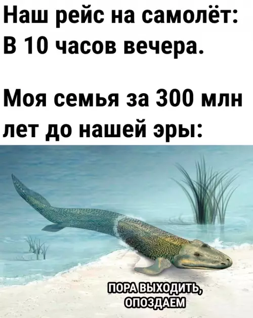 Смешная картинка №724665