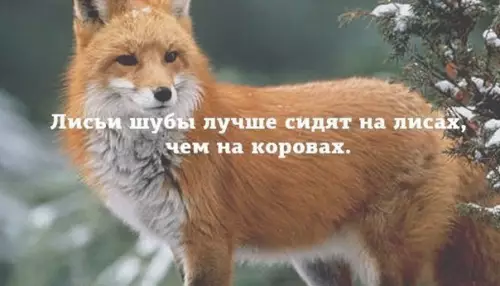 Смешная картинка №259287