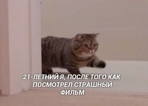 Смешная картинка №503094 Именно так я и делаю