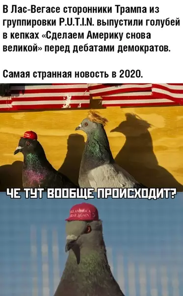 Смешная картинка №467878