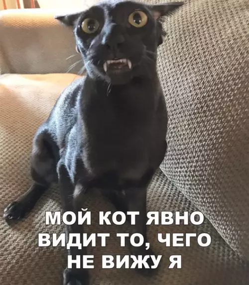 Смешная картинка №259281