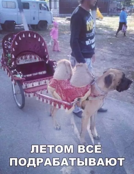 Смешная картинка №365861 ???