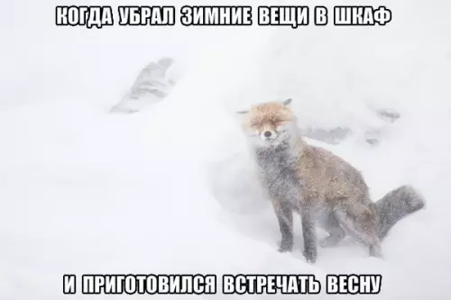 Смешная картинка №263155 весна