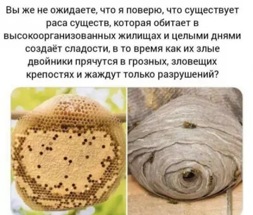 Смешная картинка №786126