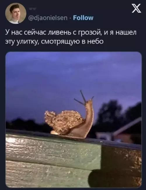 Смешная картинка №732263