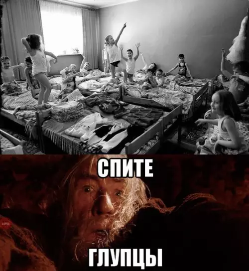 Смешная картинка №347379 Я всё бы отдал за возвращение обязательного дневного сна в мою жизнь