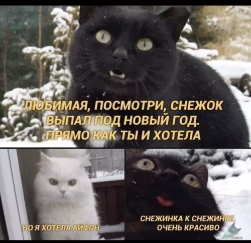 Смешная картинка №438367