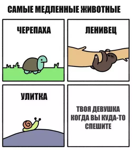 Смешная картинка №230368