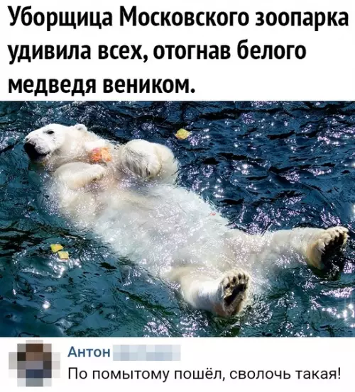 Смешная картинка №474129 Да как он посмел!
