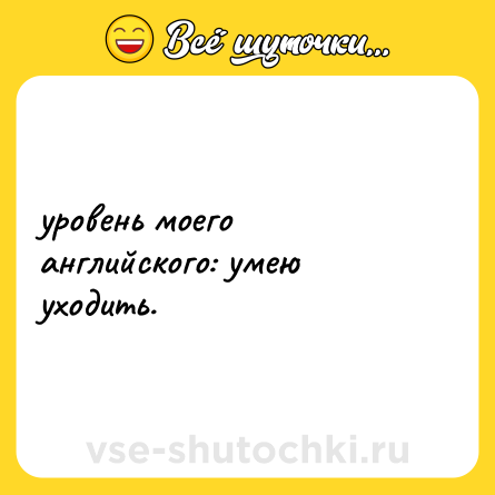 Шутка: уровень моего английского: умею уходить.