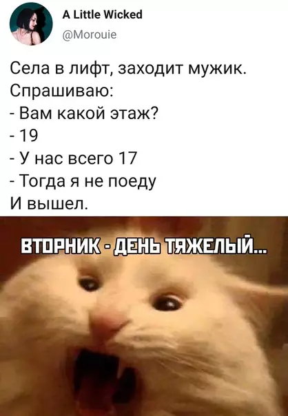 Смешная картинка №449723