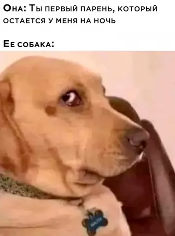 Смешная картинка №757323