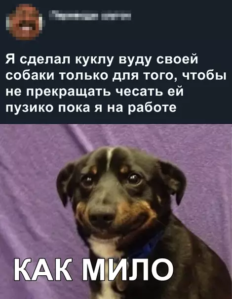 Смешная картинка №371667