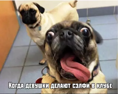 Смешная картинка №375636