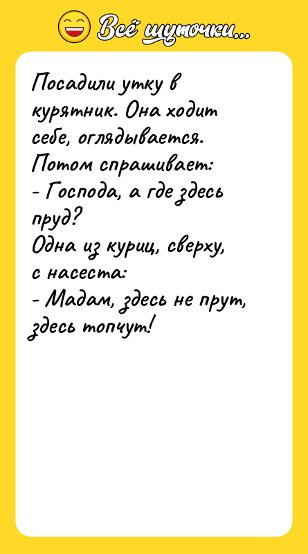 Посадили утку в курятник. Она ходит себе, оглядывается. Потом спрашивает: