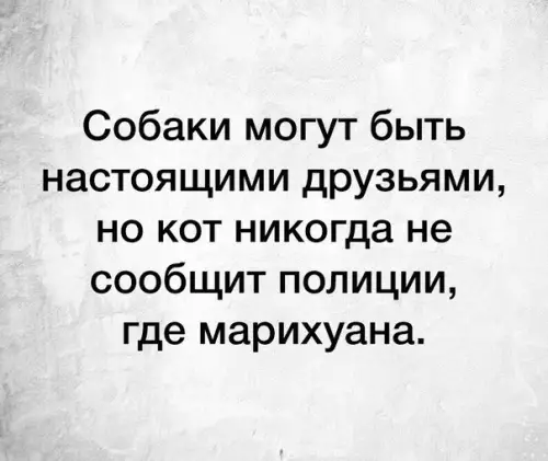 Смешная картинка №278273
