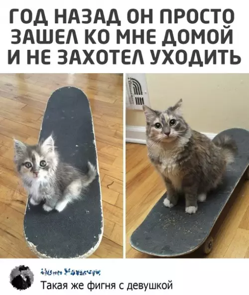 Смешная картинка №570336
