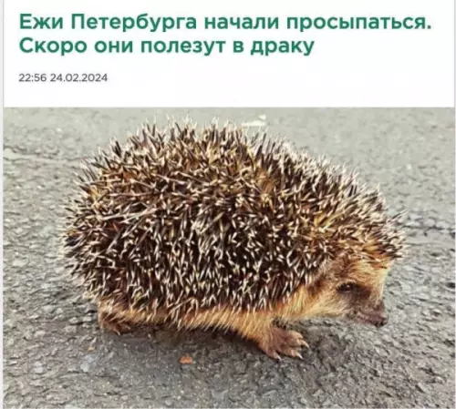 Смешная картинка №757212