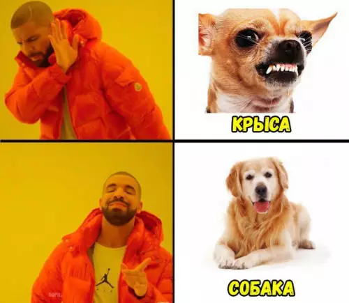 Смешная картинка №223256