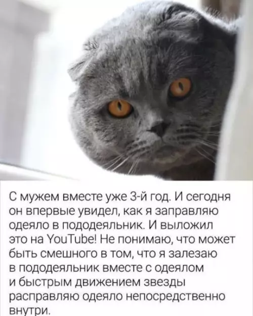 Смешная картинка №768812
