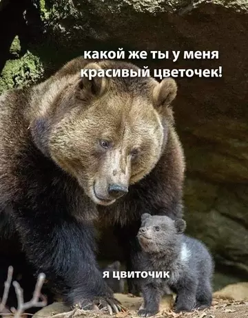 Смешная картинка №758376