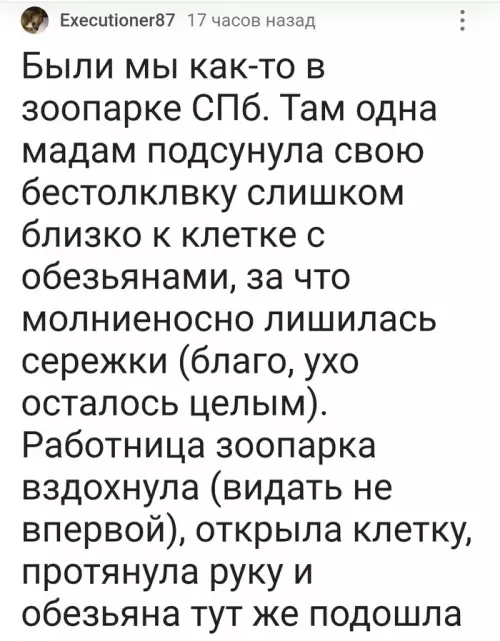 Смешная картинка №683702 Животные