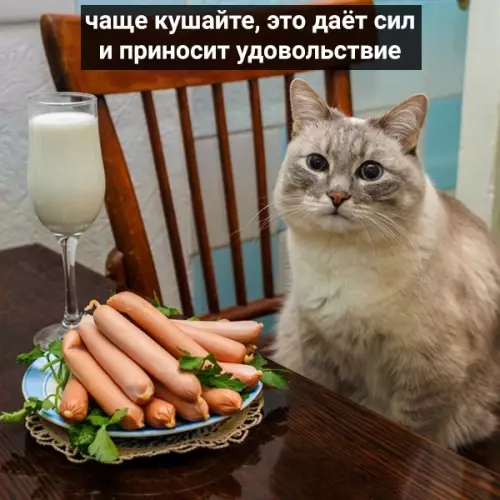 Смешная картинка №482790 Коты давно привыкли круглосуточно сидеть дома. Вот несколько их советов, чем развлечь себя в изоляции: