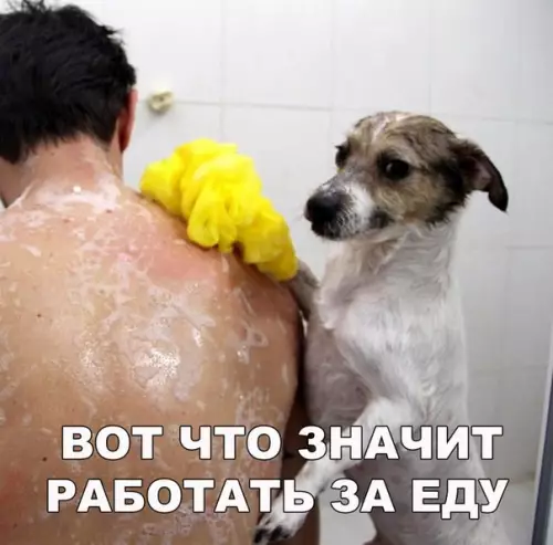 Смешная картинка №244383