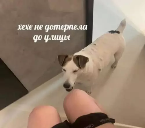 Смешная картинка №791567