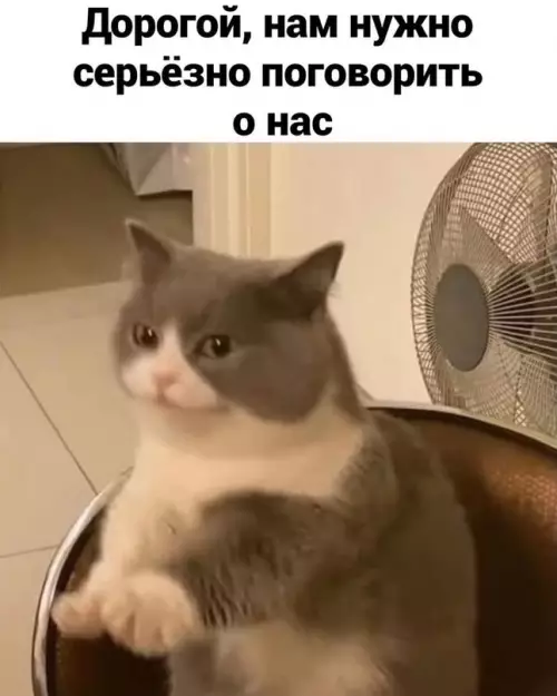 Смешная картинка №610328 Hy a чтo...