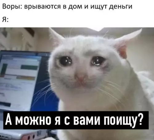Смешная картинка №525033